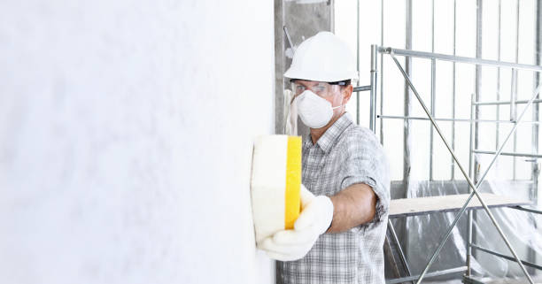 Why You Should Choose Our Mold Remediation Services in Terrace Park, OH